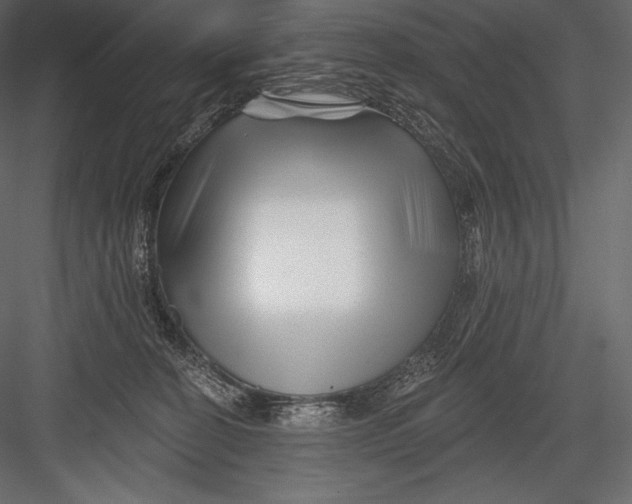 X0000082960274200702222348