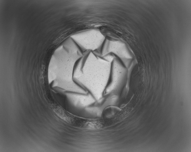 X0000082960275200702222348