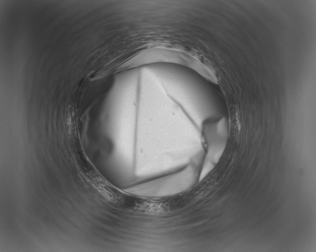 X0000082960276200702222348