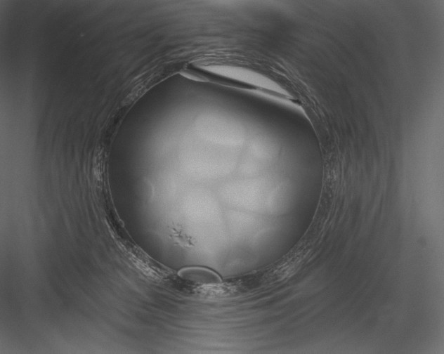 X0000082960277200702222348