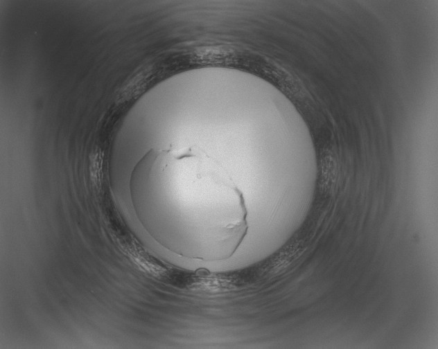 X0000082960278200702222348