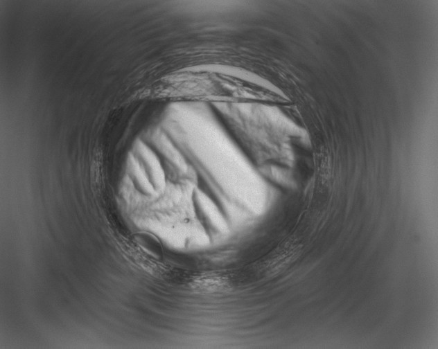 X0000082960283200702222348