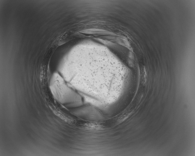 X0000082960284200702222348