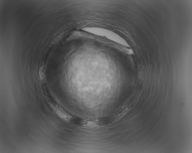 X0000082960285200702222348