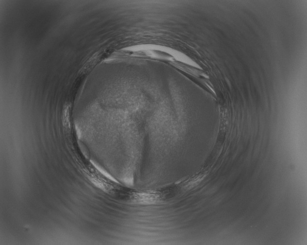 X0000082960286200702222348