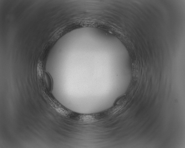 X0000082960287200702222348