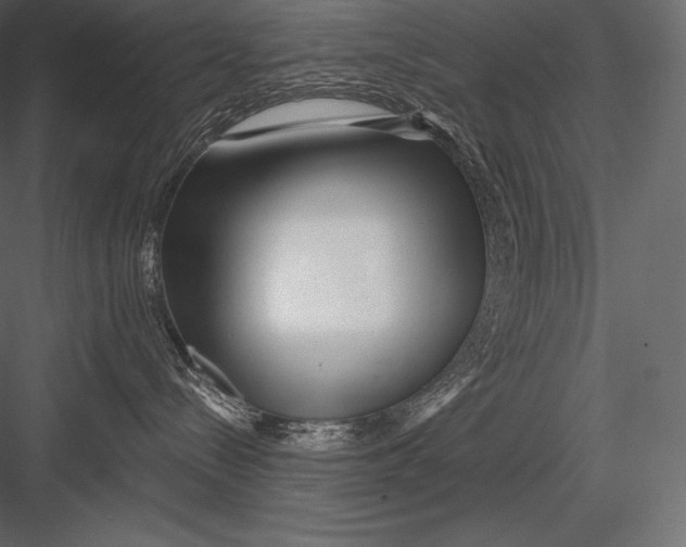 X0000082960288200702222348