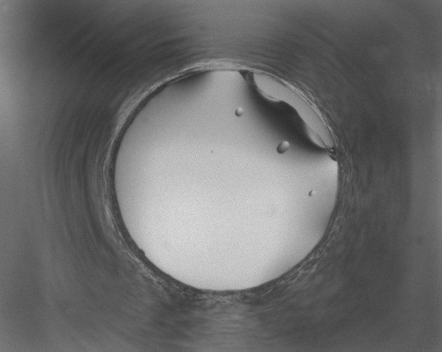 X0000082960289200702222347