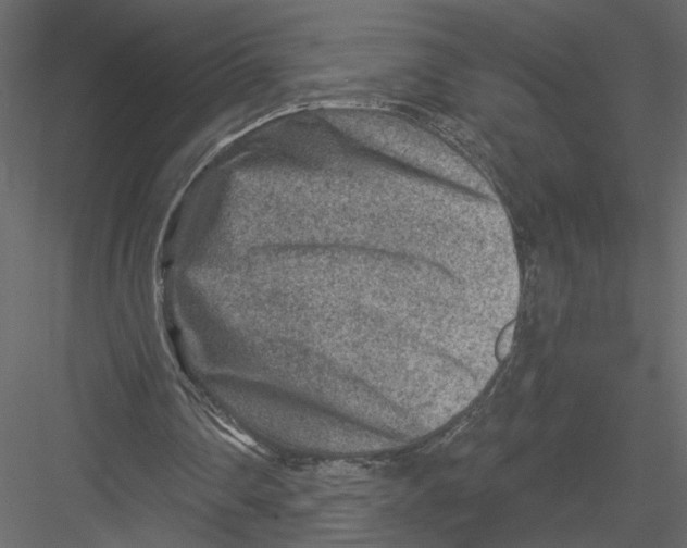 X0000082960290200702222347