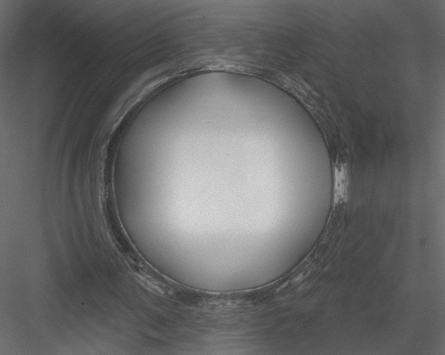 X0000082960291200702222347