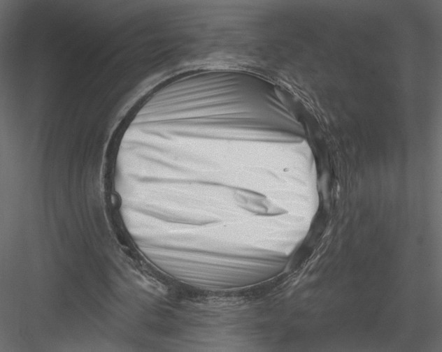 X0000082960292200702222347