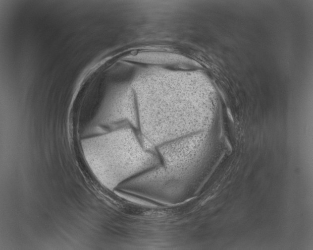 X0000082960294200702222347