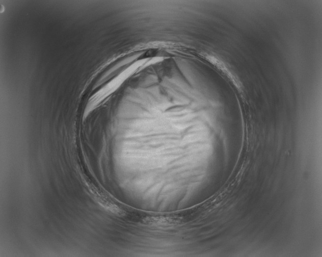 X0000082960297200702222347