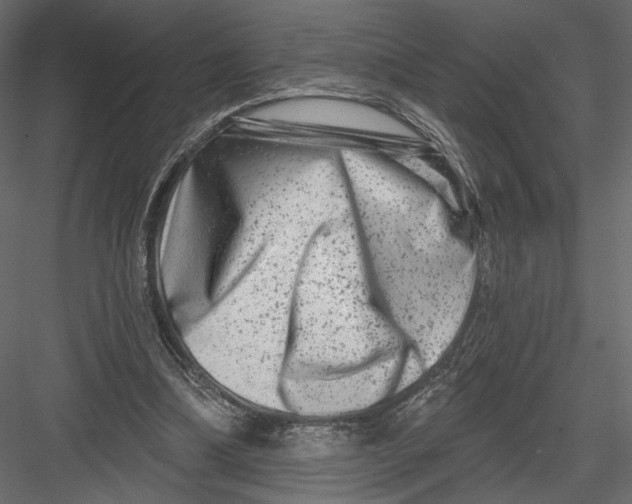 X0000082960298200702222347