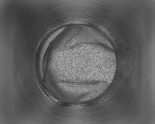 X0000082960299200702222347