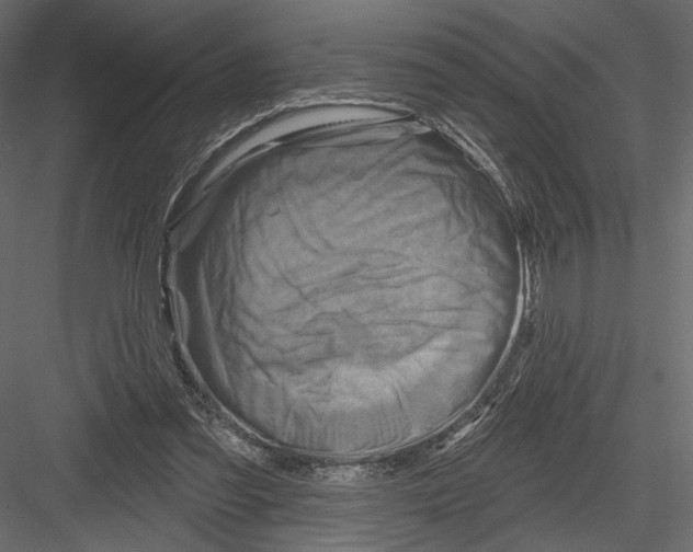 X0000082960301200702222347