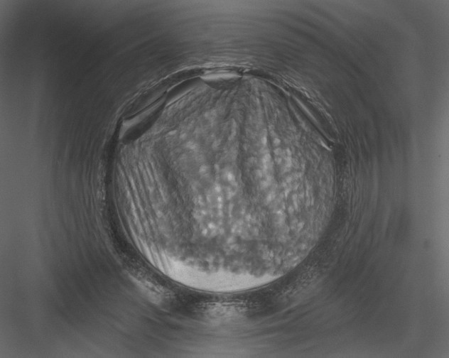 X0000082960303200702222347