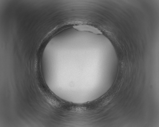 X0000082960304200702222347