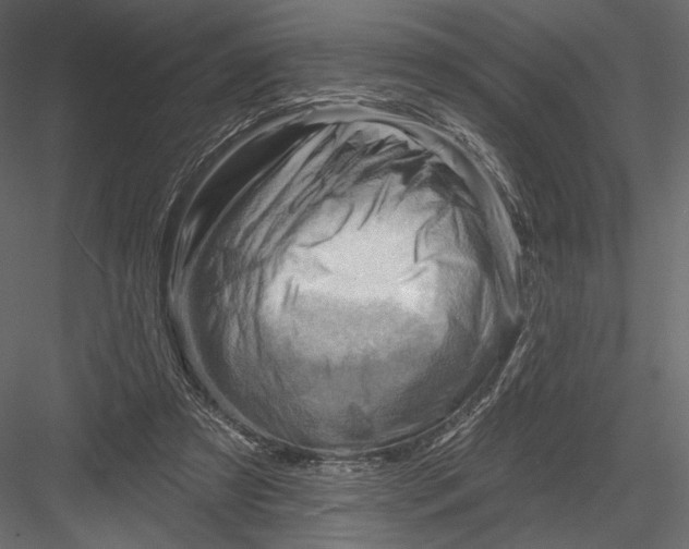 X0000082960305200702222347