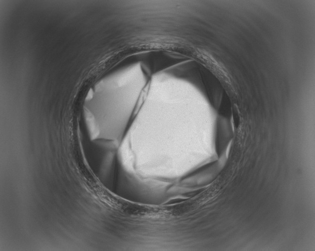 X0000082960306200702222347