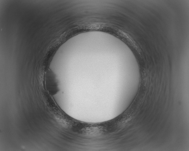 X0000082960307200702222347