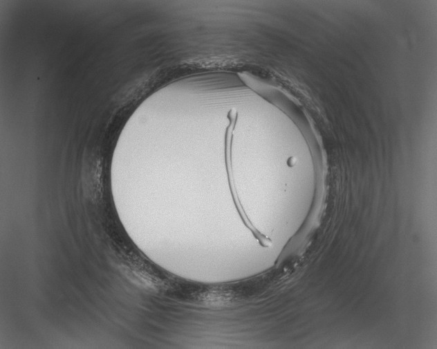 X0000082960308200702222347