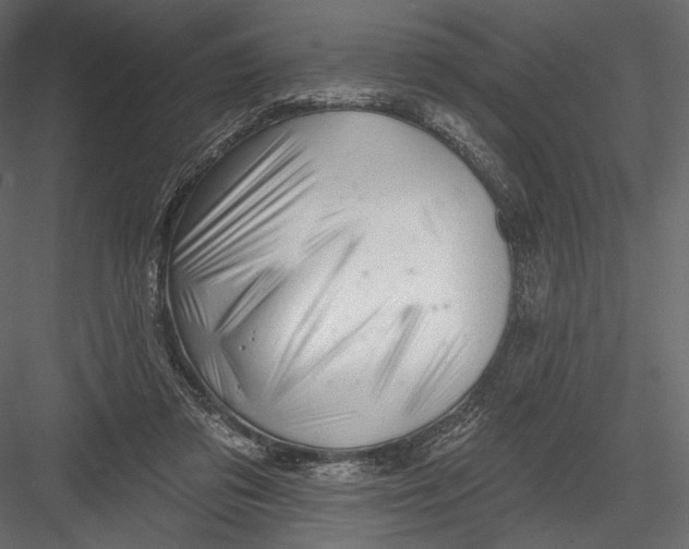 X0000082960309200702222347