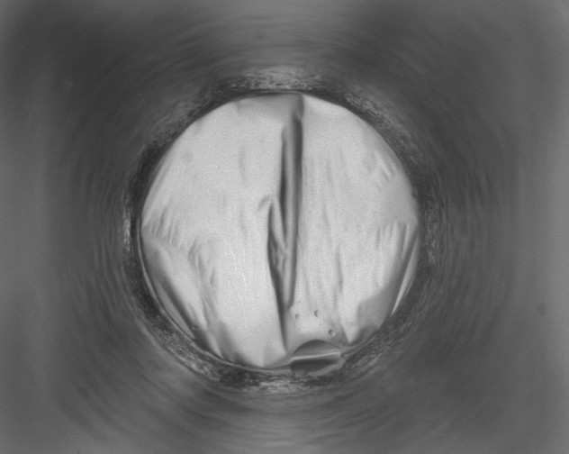 X0000082960310200702222347