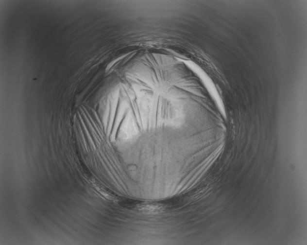 X0000082960313200702222347