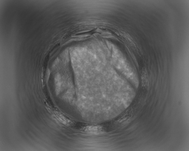 X0000082960314200702222347