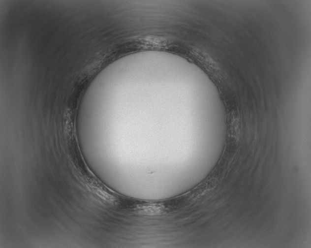 X0000082960318200702222347