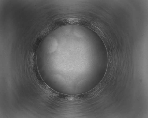 X0000082960319200702222347