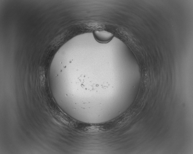 X0000082960320200702222347