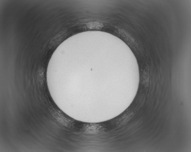 X0000082960321200702222347