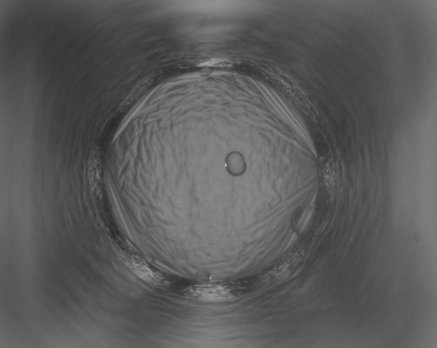 X0000082960322200702222347