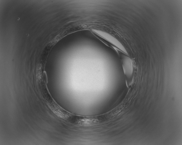 X0000082960323200702222347