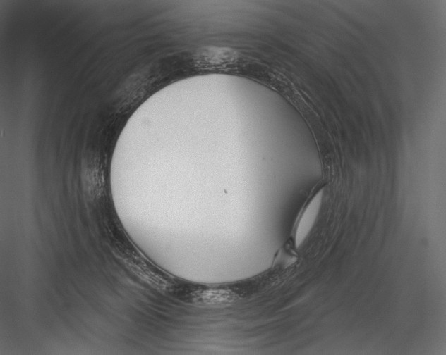 X0000082960324200702222347