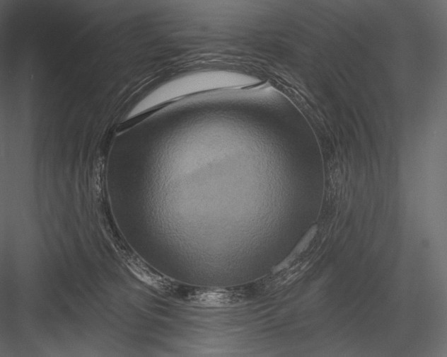 X0000082960325200702222347