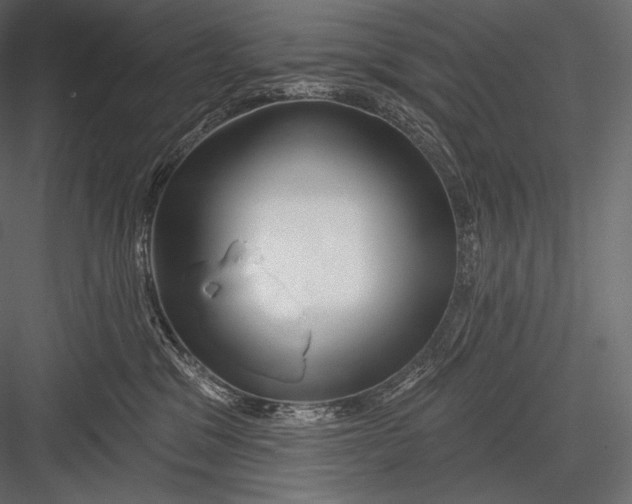 X0000082960329200702222346