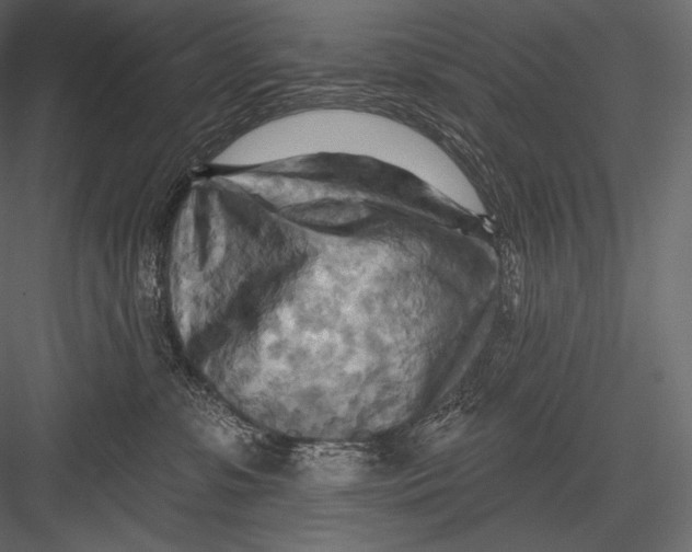 X0000082960331200702222346