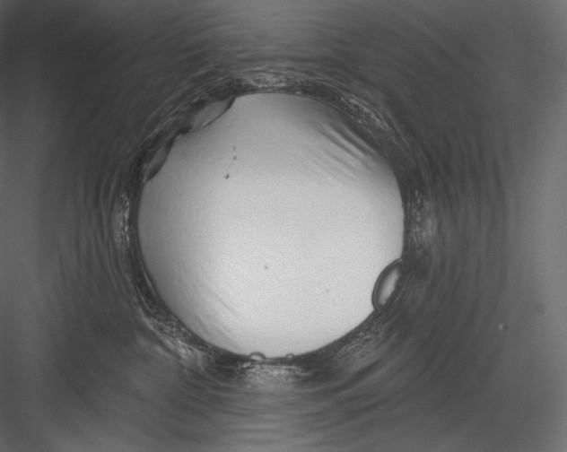 X0000082960332200702222346