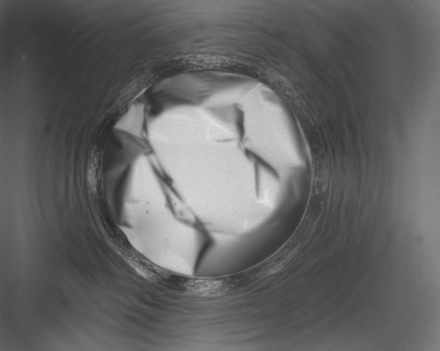 X0000082960334200702222346