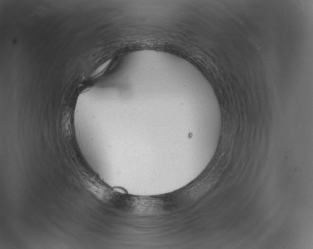 X0000082960336200702222346