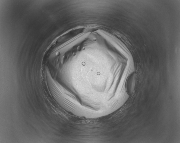 X0000082960338200702222346