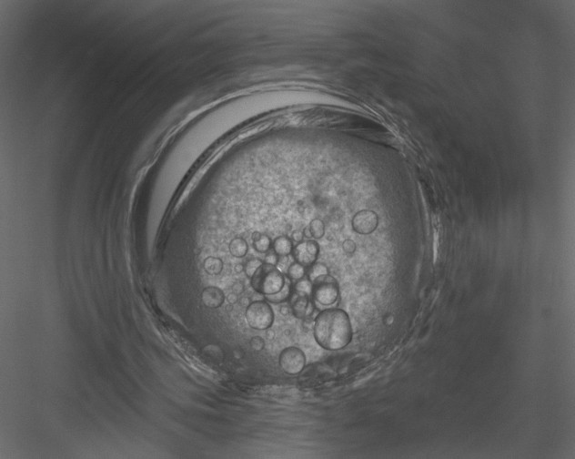 X0000082960339200702222346