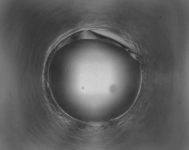 X0000082960340200702222346