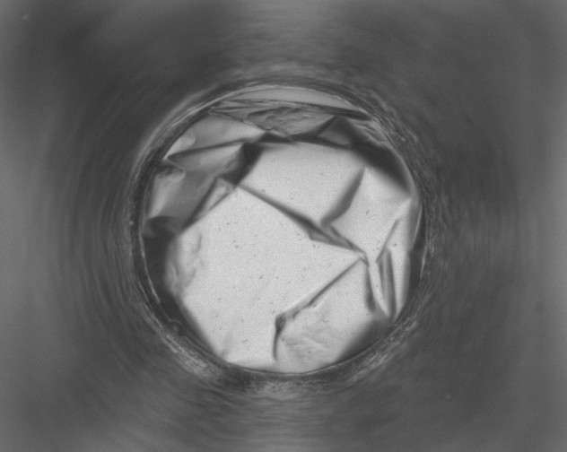 X0000082960341200702222346