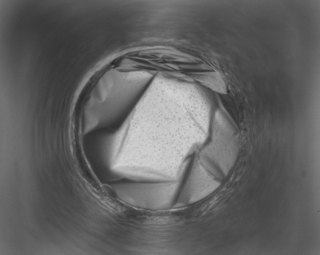 X0000082960342200702222346