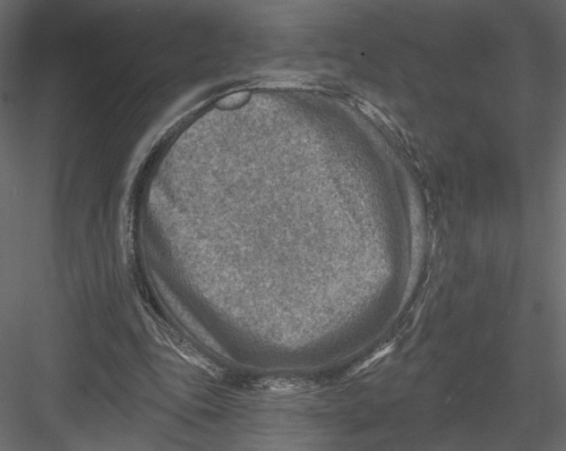 X0000082960343200702222346