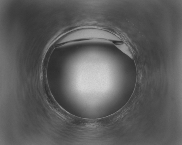 X0000082960344200702222346